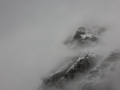 img_6349r