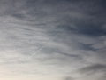 img_2959 img_2959