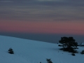 img_3013 img_3013