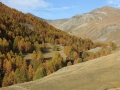 img_2107 img_2107