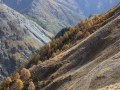 img_2200 img_2200