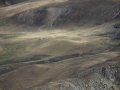 img_2236 img_2236