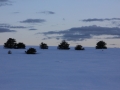 img_3167r