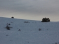 img_2888r
