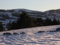 img_3097r