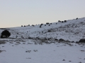 img_3121r