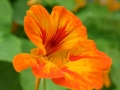 img_5129 img_5129