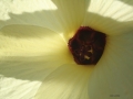 img_8210 img_8210