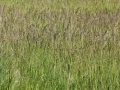 img_3434r