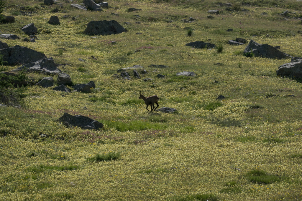 p1020079-1r