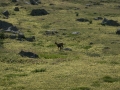 p1020079-1r