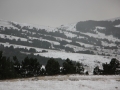 img_2670 img_2670