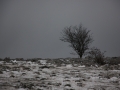 img_2685 img_2685