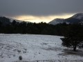 img_2695 img_2695