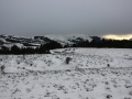 img_2701 img_2701