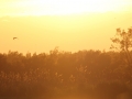 img_3984r