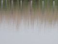 img_4071r
