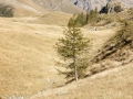 img_5724-3