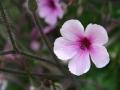 img_5139 img_5139