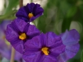 img_8156 img_8156